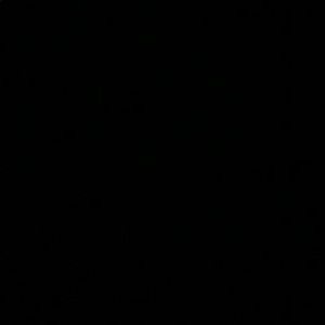 Meet your Posher, Vincent